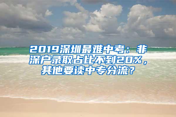 2019深圳最难中考：非深户录取占比不到20%，其他要读中专分流？