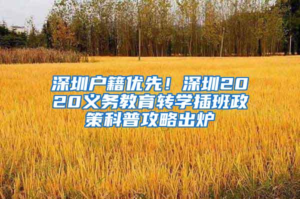 深圳户籍优先！深圳2020义务教育转学插班政策科普攻略出炉