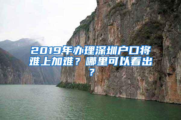 2019年办理深圳户口将难上加难？哪里可以看出？