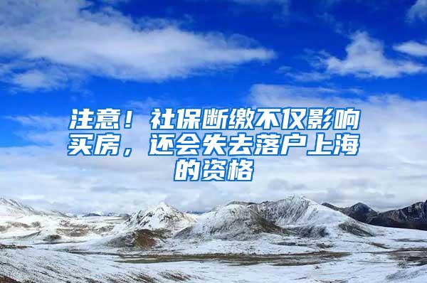 注意！社保断缴不仅影响买房，还会失去落户上海的资格