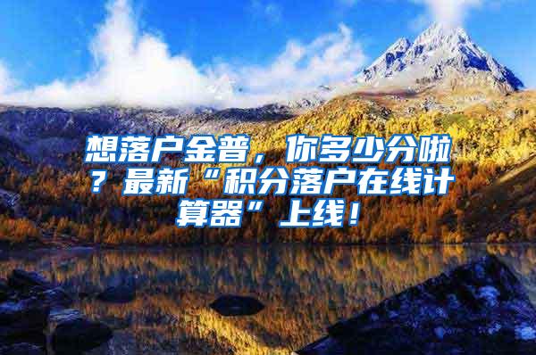 想落户金普，你多少分啦？最新“积分落户在线计算器”上线！