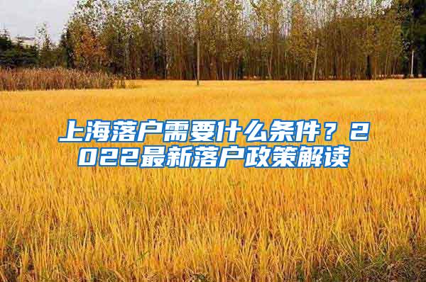 上海落户需要什么条件？2022最新落户政策解读