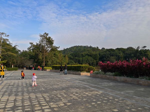 深圳集体户户口页丢了怎么补办