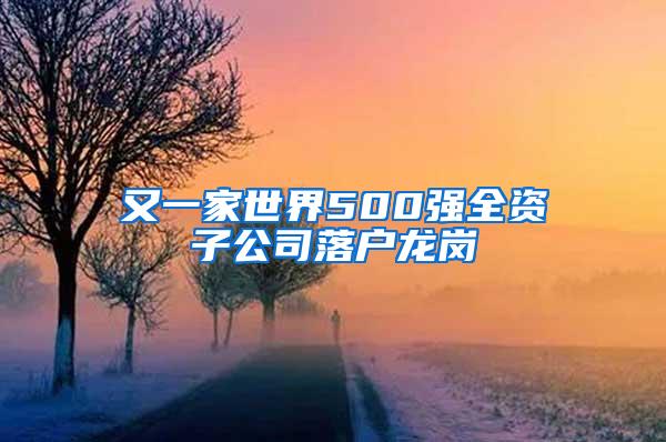 又一家世界500强全资子公司落户龙岗