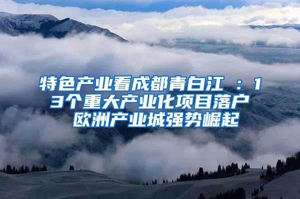 特色产业看成都青白江①：13个重大产业化项目落户 欧洲产业城强势崛起