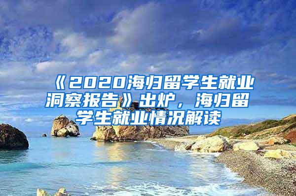 《2020海归留学生就业洞察报告》出炉，海归留学生就业情况解读