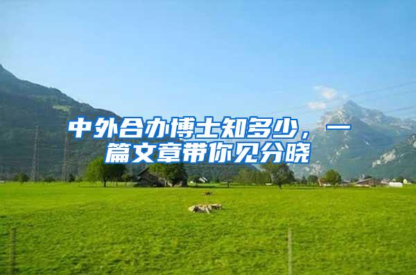 中外合办博士知多少，一篇文章带你见分晓
