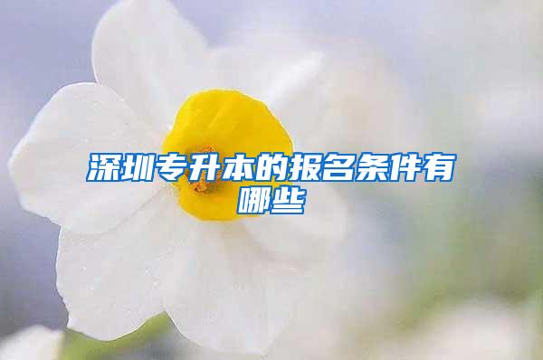 深圳专升本的报名条件有哪些