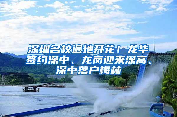 深圳名校遍地开花！龙华签约深中、龙岗迎来深高、深中落户梅林