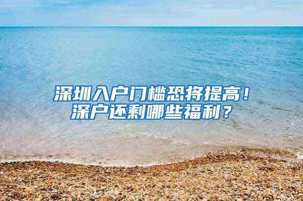 深圳入户门槛恐将提高！深户还剩哪些福利？