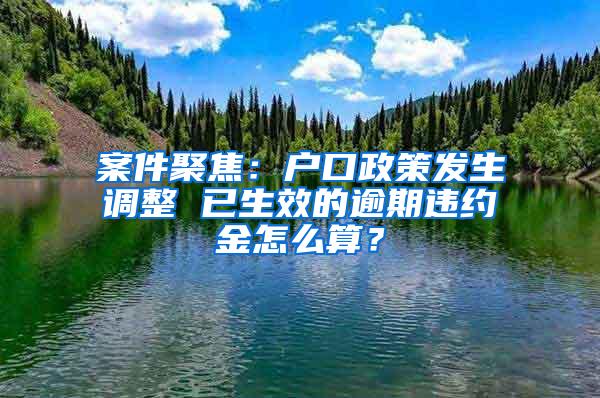 案件聚焦：户口政策发生调整 已生效的逾期违约金怎么算？