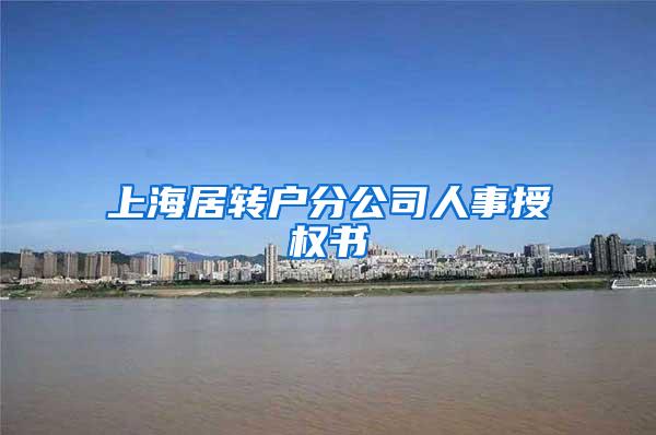 上海居转户分公司人事授权书