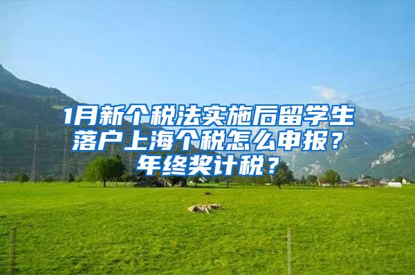1月新个税法实施后留学生落户上海个税怎么申报？年终奖计税？
