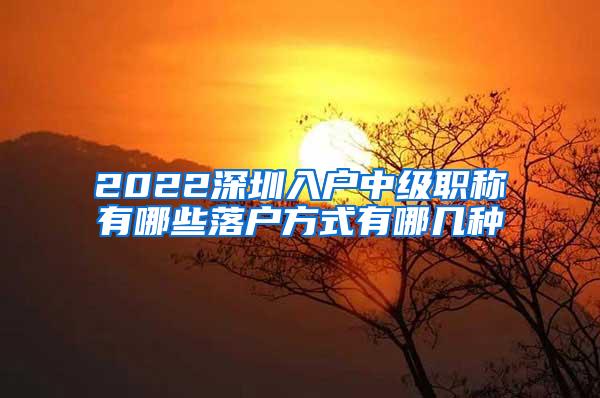 2022深圳入户中级职称有哪些落户方式有哪几种