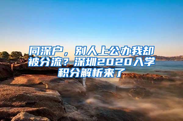 同深户，别人上公办我却被分流？深圳2020入学积分解析来了