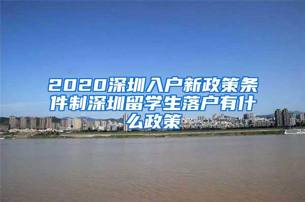 2020深圳入户新政策条件制深圳留学生落户有什么政策