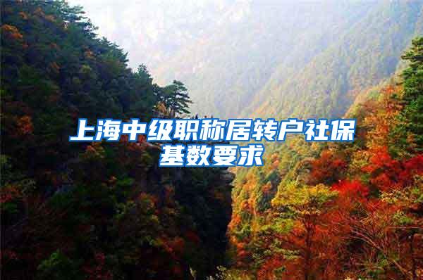 上海中级职称居转户社保基数要求