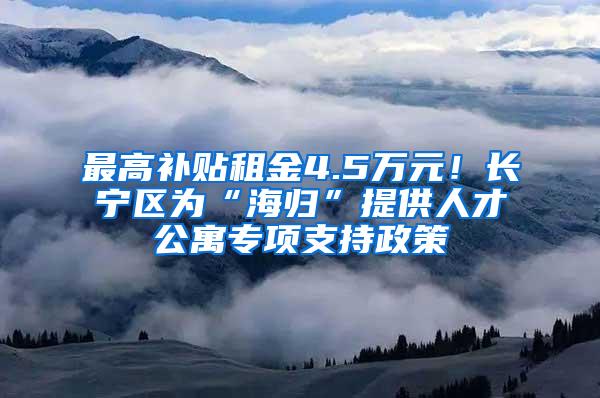 最高补贴租金4.5万元！长宁区为“海归”提供人才公寓专项支持政策