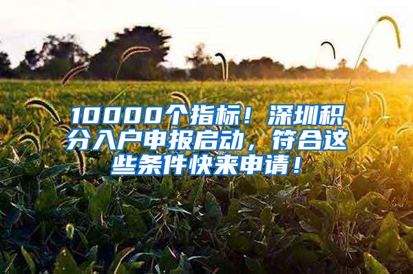 10000个指标！深圳积分入户申报启动，符合这些条件快来申请！