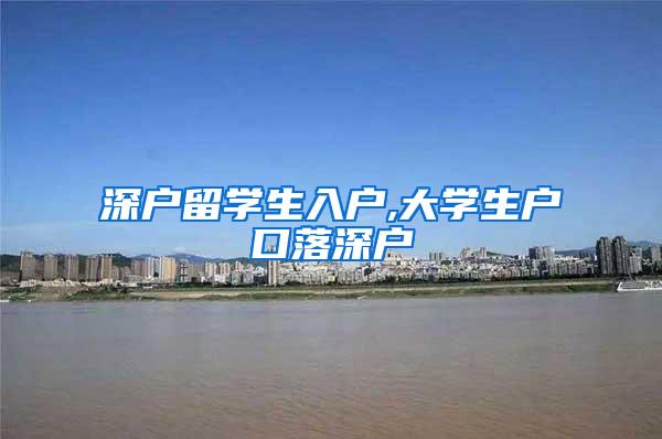 深户留学生入户,大学生户口落深户