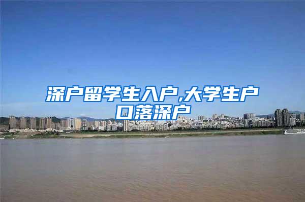 深户留学生入户,大学生户口落深户