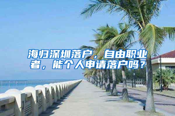 海归深圳落户，自由职业者，能个人申请落户吗？