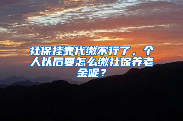 社保挂靠代缴不行了，个人以后要怎么缴社保养老金呢？