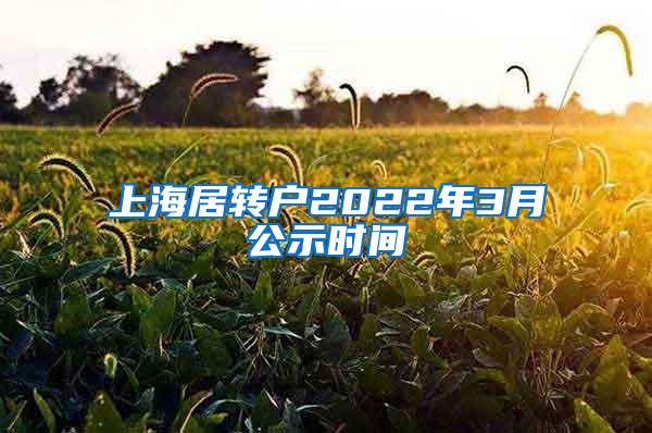 上海居转户2022年3月公示时间