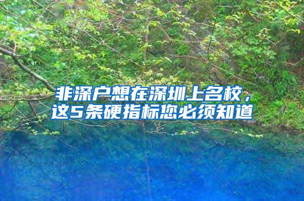 非深户想在深圳上名校，这5条硬指标您必须知道