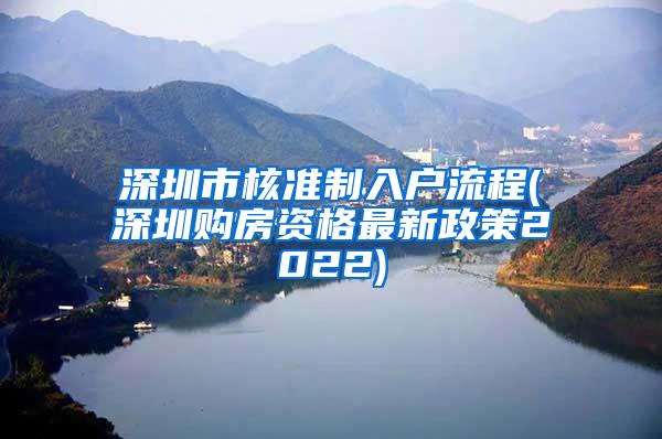 深圳市核准制入户流程(深圳购房资格最新政策2022)