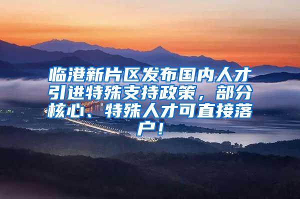 临港新片区发布国内人才引进特殊支持政策，部分核心、特殊人才可直接落户！