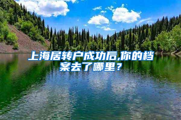 上海居转户成功后,你的档案去了哪里？