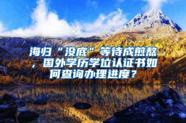 海归“没底”等待成煎熬，国外学历学位认证书如何查询办理进度？