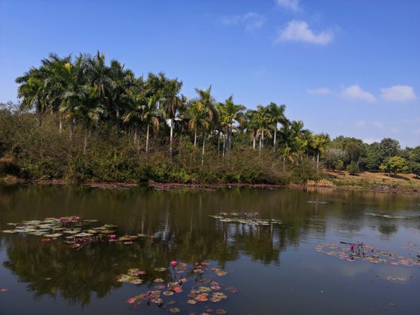 深圳核准制入户流程