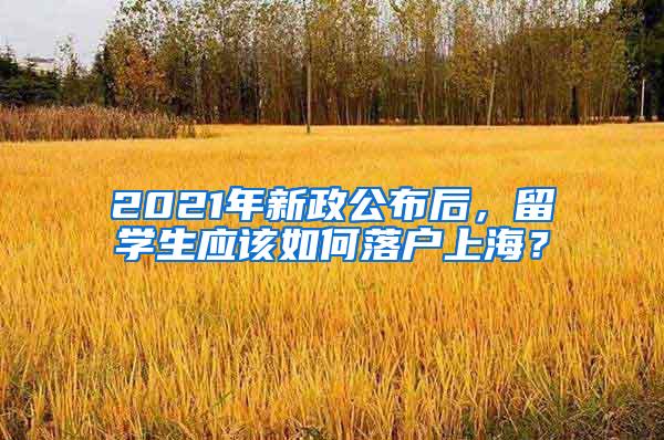 2021年新政公布后，留学生应该如何落户上海？