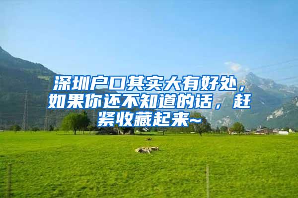 深圳户口其实大有好处，如果你还不知道的话，赶紧收藏起来~
