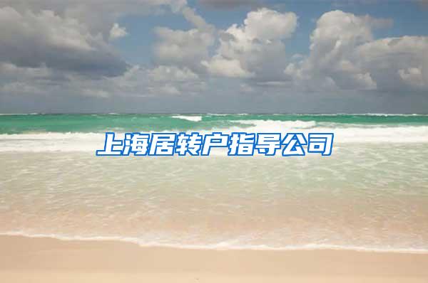 上海居转户指导公司