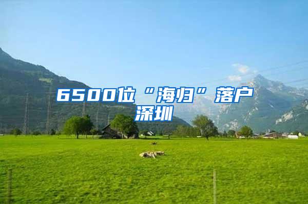 6500位“海归”落户深圳