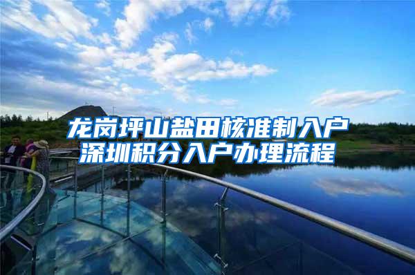 龙岗坪山盐田核准制入户深圳积分入户办理流程