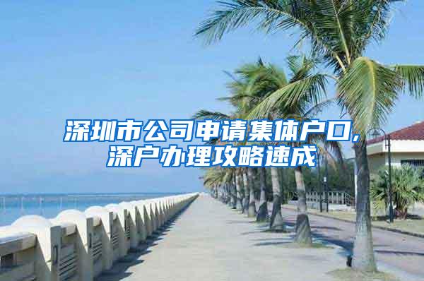 深圳市公司申请集体户口,深户办理攻略速成