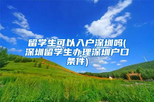 留学生可以入户深圳吗(深圳留学生办理深圳户口条件)