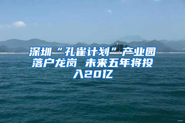 深圳“孔雀计划”产业园落户龙岗 未来五年将投入20亿