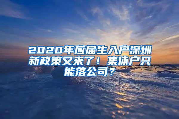 2020年应届生入户深圳新政策又来了！集体户只能落公司？
