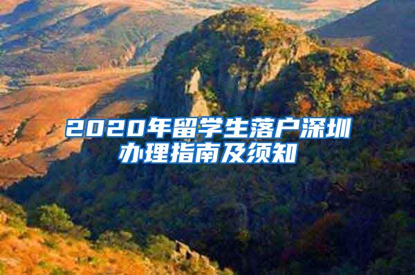 2020年留学生落户深圳办理指南及须知