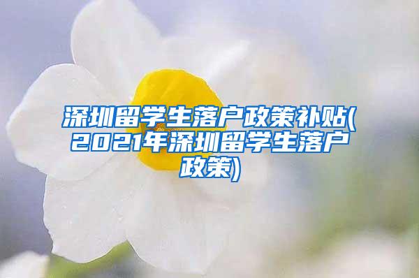 深圳留学生落户政策补贴(2021年深圳留学生落户政策)