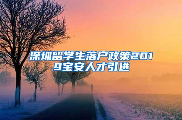 深圳留学生落户政策2019宝安人才引进