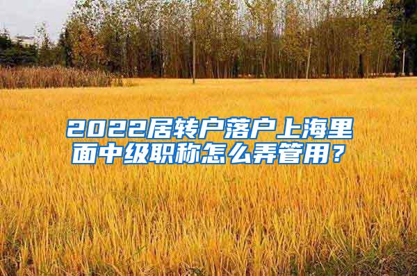 2022居转户落户上海里面中级职称怎么弄管用？