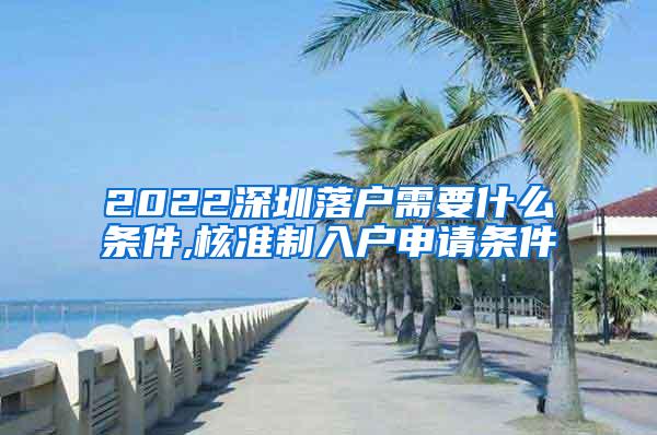 2022深圳落户需要什么条件,核准制入户申请条件