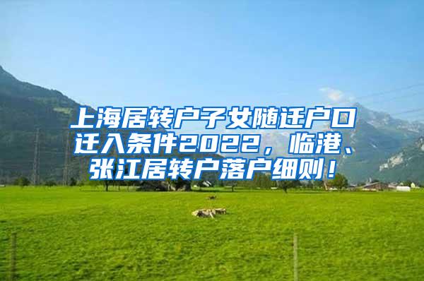 上海居转户子女随迁户口迁入条件2022，临港、张江居转户落户细则！
