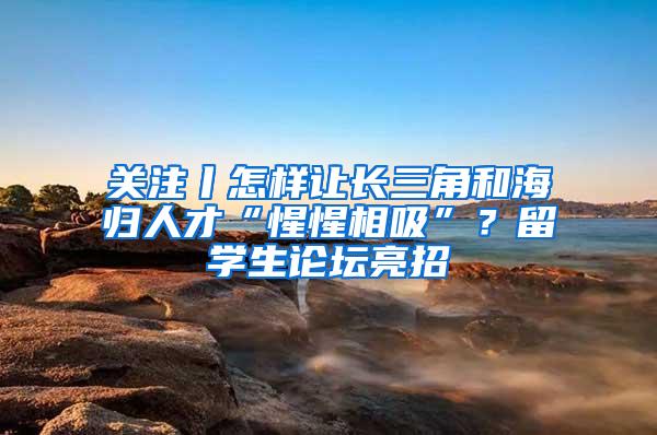 关注丨怎样让长三角和海归人才“惺惺相吸”？留学生论坛亮招